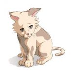 ネコ◎