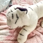 userPhoto