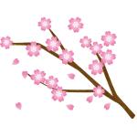 キャロカゼ