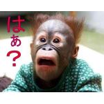 ちくわヴ