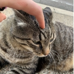 userPhoto