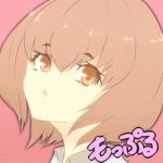 もっぷる