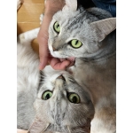 userPhoto