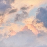 userPhoto