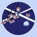 userPhoto