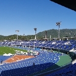 userPhoto
