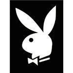 うさぎ