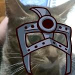 プロレスラーねこ