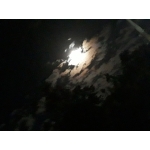 userPhoto