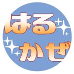 遥風Project