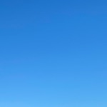 userPhoto