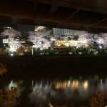 userPhoto