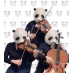 PANDAYAチャンネル