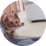 userPhoto