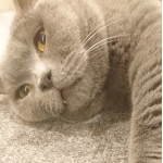 userPhoto