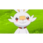 userPhoto