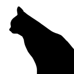 userPhoto