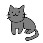 hikari(ねこの手袋)