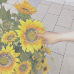 userPhoto