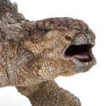 アンキロサウルス