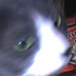 たまっころ