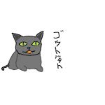 くーちゃん