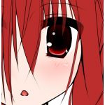 しるひの