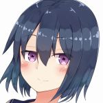 イナ力モリ