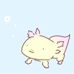 userPhoto