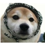 ユーザー画像