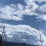 userPhoto