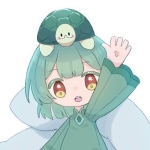 フトンガメ
