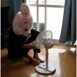 やぎ