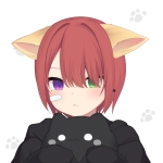 userPhoto