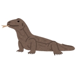 コドモドラゴン