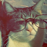 userPhoto