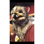 タカオ