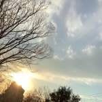 userPhoto