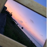 userPhoto