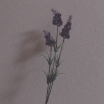 userPhoto