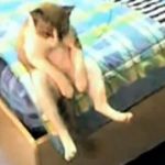 nekosan4649