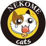 猫目