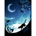 月夜