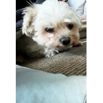 userPhoto