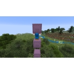 userPhoto