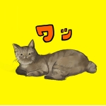 彩猫