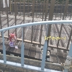 おうみみっく