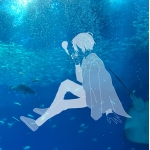 userPhoto