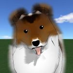 hund