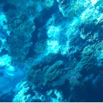 userPhoto